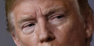 Trump più ricco con le criptovalute, ma molti suoi fan sono in rosso: l’analisi del Wall Street Journal