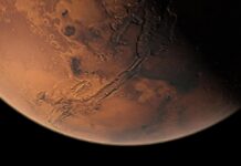 Tutti i segreti nella dieta degli astronauti, un’alga dalla Sardegna per conquistare Marte