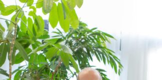 Undo Group: “Perfezionata l’acquisizione del progetto Stone”