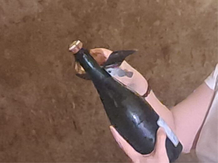 Vino: in Champagne vendemmia 2026 la più anticipata di sempre, sfida cambiamenti climatici e mercati