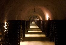 Vino: sempre più enoturisti nella Champagne, alla scoperta di Maison blasonate e vignerons
