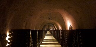 Vino: sempre più enoturisti nella Champagne, alla scoperta di Maison blasonate e vignerons