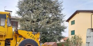 Dueville verso il divieto ai mezzi pesanti lungo l’ex SP 50? I cittadini: “Non riusciamo più a vivere, passa un camion al minuto” traffico s.p.50