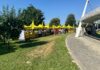 Campagna Amica arriva negli ospedali del Veneto: i prodotti a km zero anche al San Bortolo per promuovere la salute Campagna Amica