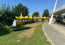 Campagna Amica arriva negli ospedali del Veneto: i prodotti a km zero anche al San Bortolo per promuovere la salute Campagna Amica