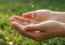 Veneto, nasce la task force regionale contro la crisi idrica: focus sull’approvvigionamento acqua crisi idrica vicenza veneto