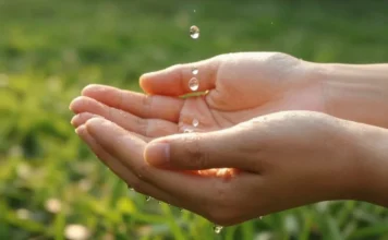 Veneto, nasce la task force regionale contro la crisi idrica: focus sull’approvvigionamento acqua crisi idrica vicenza veneto
