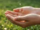 Veneto, nasce la task force regionale contro la crisi idrica: focus sull’approvvigionamento acqua crisi idrica vicenza veneto