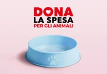 Anche a Vicenza “Dona la Spesa”, Coop Alleanza 3.0 raccoglie cibo per animali dona la spesa