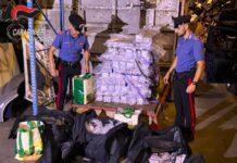 Maxi sequestro di hashish nel Bassanese: 683 chili sequestrati, arrestato un 44enne maxi sequestro hashish