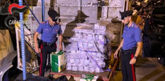 Maxi sequestro di hashish nel Bassanese: 683 chili sequestrati, arrestato un 44enne maxi sequestro hashish