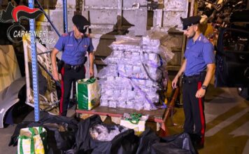 Maxi sequestro di hashish nel Bassanese: 683 chili sequestrati, arrestato un 44enne maxi sequestro hashish