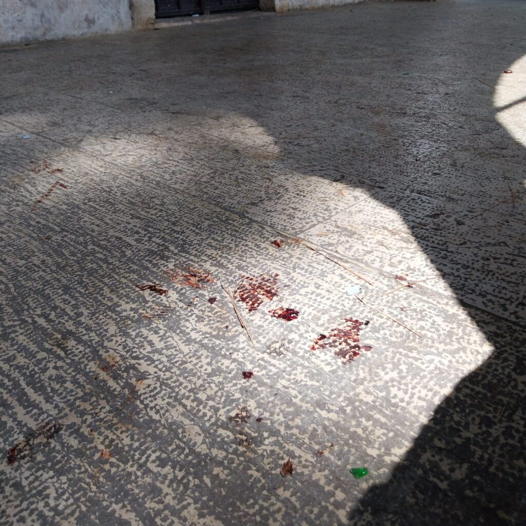 Sangue schio