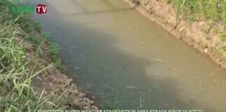 Tangenziale di Vicenza, le conseguenze problematiche della Bretella dell’Albera sulle strade secondarie (di cui nessuno si occupa) Tangenziale di Vicenza
