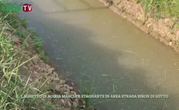 Tangenziale di Vicenza, le conseguenze problematiche della Bretella dell’Albera sulle strade secondarie (di cui nessuno si occupa) Tangenziale di Vicenza