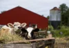Pafs in Veneto, La Regione “Diminuiti i valori nei prodotti animali”, ma mancano quelli agricoli. Restano i dubbi sulla comunicazione dei risultati pfas veneto