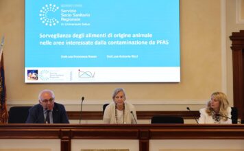 Pfas nei prodotti animali in Veneto: la Regione presenta dati più articolati, ma non quelli sulle filiere vegetali pfas veneto dati regionali animali