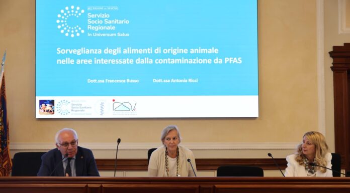 Pfas nei prodotti animali in Veneto: la Regione presenta dati più articolati, ma non quelli sulle filiere vegetali pfas veneto dati regionali animali