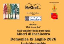 Schio, rinviato a domenica 19 luglio l’incontro “Grammatica degli alberi” Grammatica degli alberi