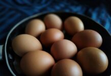 Pfas negli alimenti a Vicenza, Colombara (PuGV) interroga l’amministrazione comnuale uova pfas vicenza