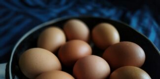 Pfas negli alimenti a Vicenza, Colombara (PuGV) interroga l’amministrazione comnuale uova pfas vicenza