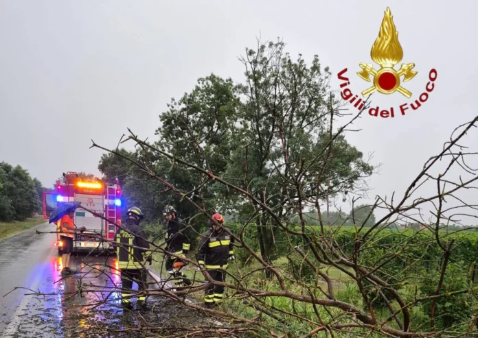 vigili del fuoco fronteggiano l'ondata di maltempo abbattutasi sul Veneto tra il 1° e il 2 luglio 2026 maltempo veneto