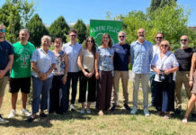 Alberi gratuiti a Vicenza, 2.700 richieste e prenotazioni chiuse per caldo e siccità Alberi gratuiti a Vicenza, richieste record dei cittadini