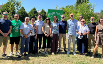 Alberi gratuiti a Vicenza, 2.700 richieste e prenotazioni chiuse per caldo e siccità Alberi gratuiti a Vicenza, richieste record dei cittadini