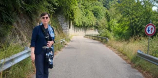 Frana di località Mozzarei a Chiampo, minoranza: “20 famiglie a rischio” chiampo frana