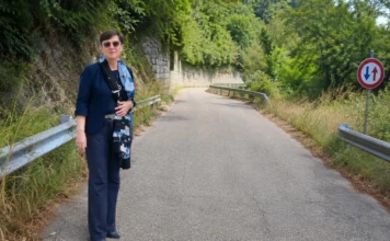 Frana di località Mozzarei a Chiampo, minoranza: “20 famiglie a rischio” chiampo frana