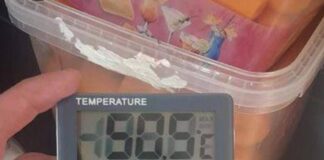 Agenzia lavoro Restworld lancia allarme, nelle cucine si arriva anche a 51 gradi, centinaia segnalazioni