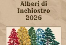 Sul Novegno si cammina e si ascoltano storie: Daniele Zovi porta i lettori tra i boschi Alberi di Inchiostro