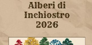 Sul Novegno si cammina e si ascoltano storie: Daniele Zovi porta i lettori tra i boschi Alberi di Inchiostro