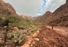 Alluvione lampo travolge il Grand Canyon: 1 morto e 15 escursionisti dispersi