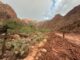 Alluvione lampo travolge il Grand Canyon: 1 morto e 15 escursionisti dispersi