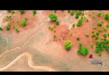 Ambiente: Neya del Gruppo Mundys pianta 2.500 ettari di mangrovie in Madagascar