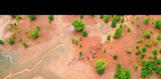 Ambiente: Neya del Gruppo Mundys pianta 2.500 ettari di mangrovie in Madagascar