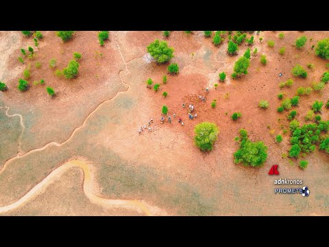 Ambiente: Neya del Gruppo Mundys pianta 2.500 ettari di mangrovie in Madagascar