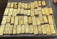 Belgio, operai trovano un tesoro durante uno scavo: monete e lingotti da 9 milioni di euro