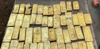 Belgio, operai trovano un tesoro durante uno scavo: monete e lingotti da 9 milioni di euro