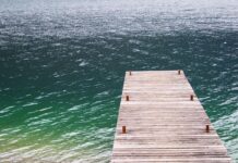 Bimba di 8 anni muore dopo l’infezione da ‘ameba mangia-cervello’: il raro contagio in un lago