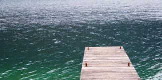 Bimba di 8 anni muore dopo l’infezione da ‘ameba mangia-cervello’: il raro contagio in un lago