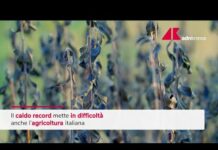 Caldo record taglia produzione ortofrutta