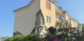 Campi Flegrei, prosegue lo sciame sismico: altre 5 scosse stamattina
