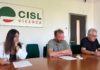 Cisl Vicenza, lo sportello per l’inclusione diventa società: Stai Srl Cisl Vicenza STAI