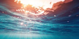 Clima, mare mai così caldo: nuovo record per la temperatura
