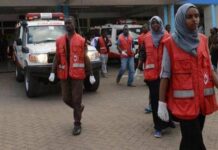 Disastro aereo in Kenya: precipita elicottero, morti sette turisti