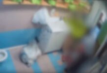 Due maestre d’asilo arrestate per maltrattamenti, altre 2 denunciate a Monza: lasciavano i bimbi incustoditi e senza cibo