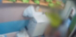 Due maestre d’asilo arrestate per maltrattamenti, altre 2 denunciate a Monza: lasciavano i bimbi incustoditi e senza cibo