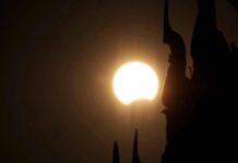 Eclissi, anche gli animali la vedranno: i consigli per non farli agitare